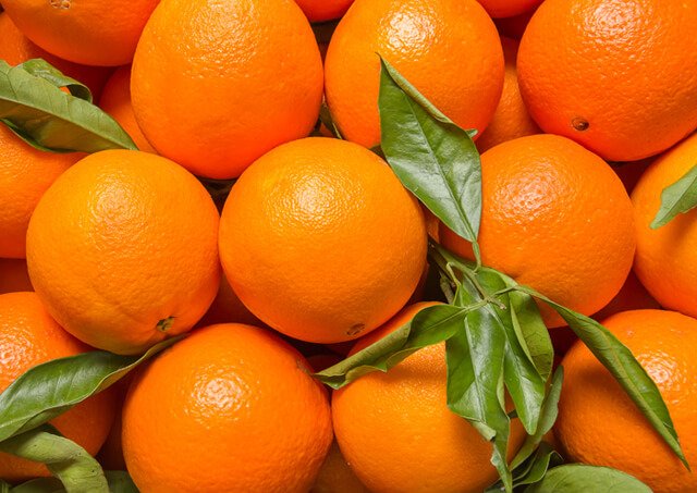 A closeup photograph of Valencia oranges