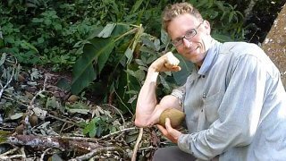 Jay Kaiser flexes his bicep