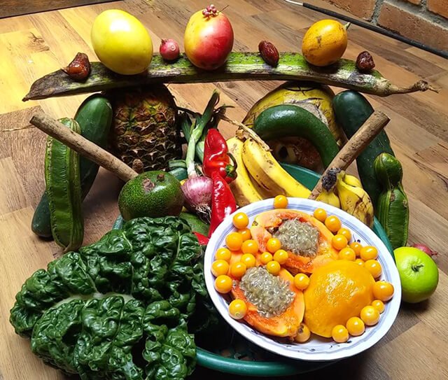 A Sunday brunch at Terra Frutis