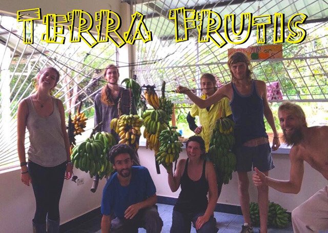 Volunteers at Terra Frutis