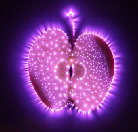 Kirlian photograph showing an apple's aura