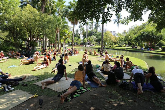 Gatherers of the 2016 Fruit Winter Festival practice yoga