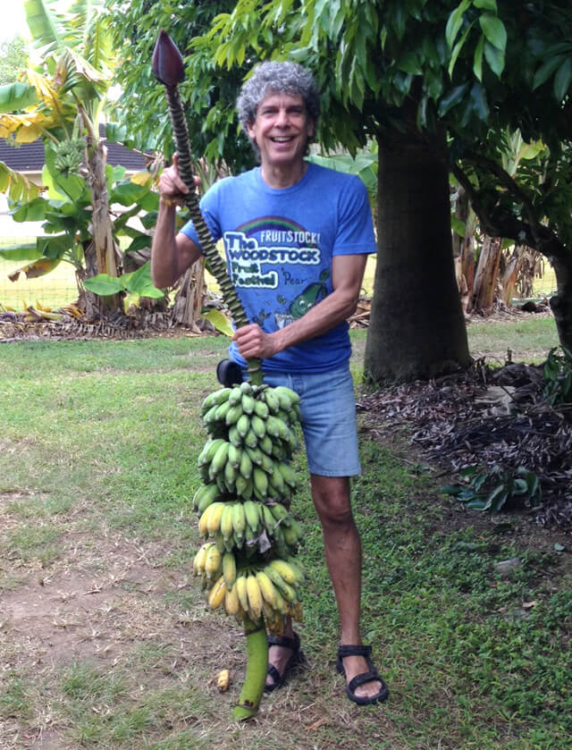 Don Bennett holds Namwah bananas