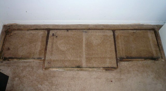 Mold from an entertainment center in Tasha Lee's former apartment