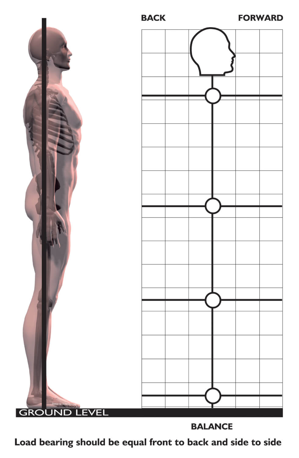 Side view of Freddie Function