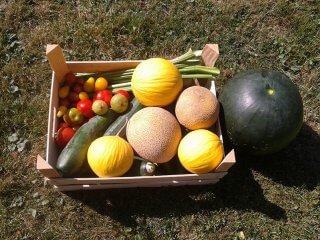 Melons and vegetables in a wooden crate