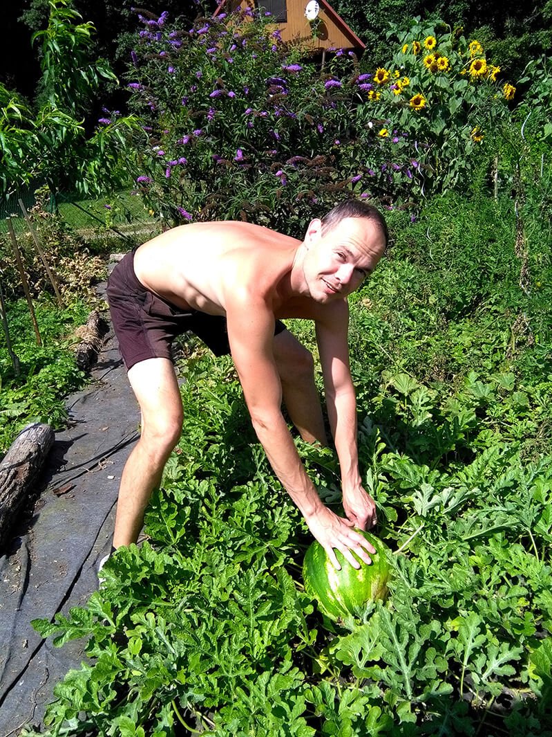 Petr Cech reaches for a watermelon in his garden