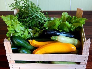 Zucchini, lettuce and dandelion in a wooden crate