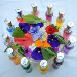 Color Mirrors beside flowers, in a bowl of water