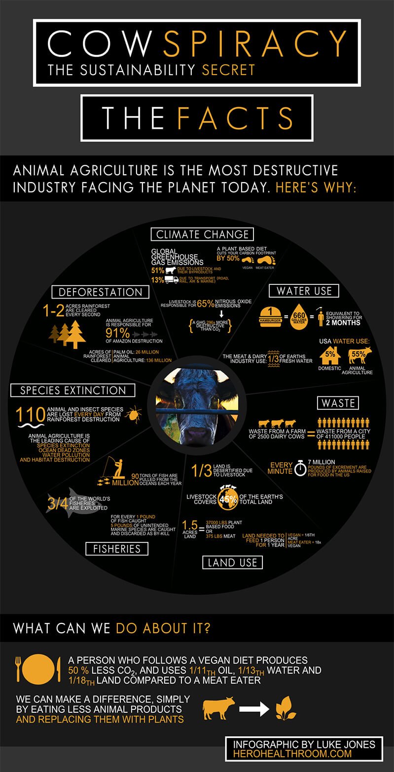 Infographic for Cowspiracy