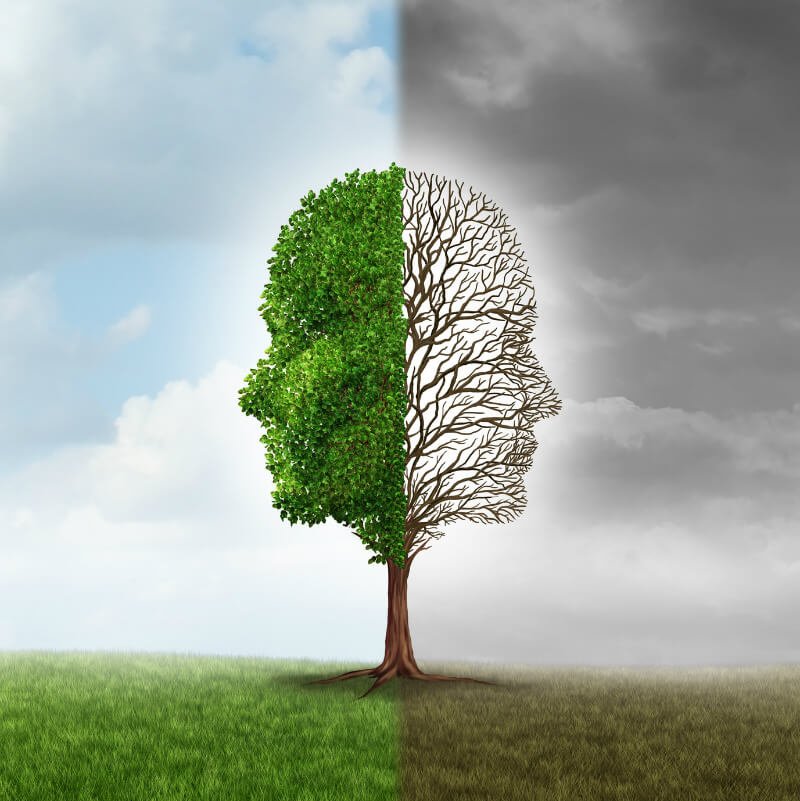 Illustration of trees with and without leaves show sides of human emotional health