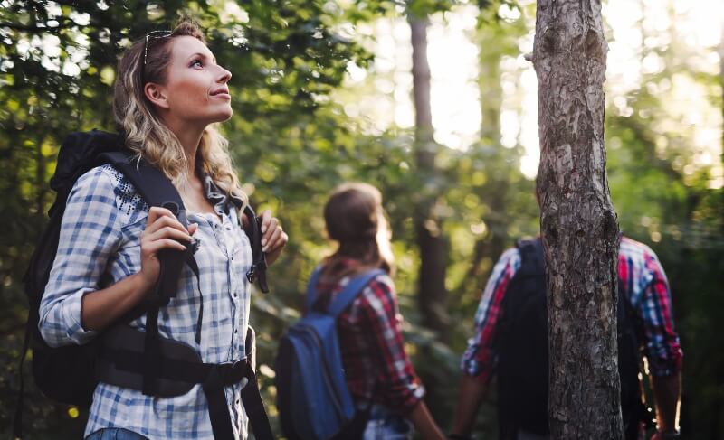A woman pauses during a walk in a forest with backpackers