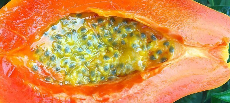 Papaya with Passion Fruit recipe from Nicolas Dudet