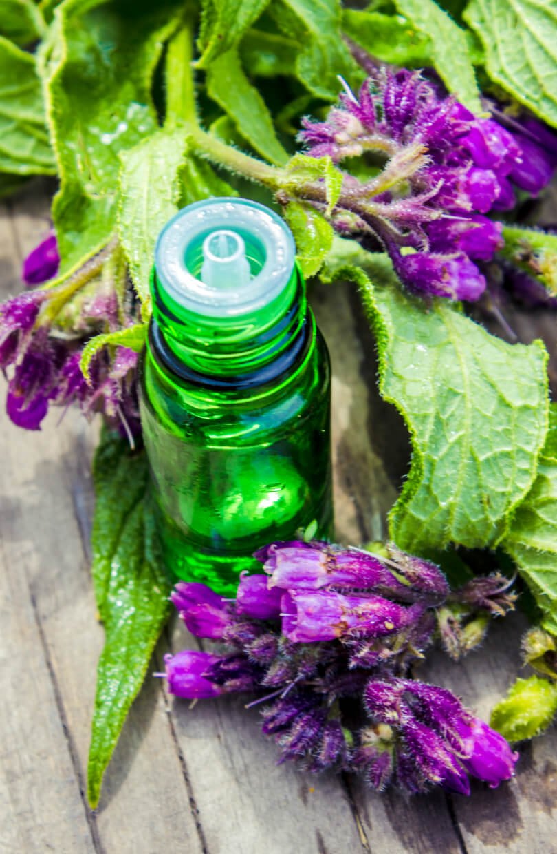 Comfrey leaves, flower and tincture - herbs for health