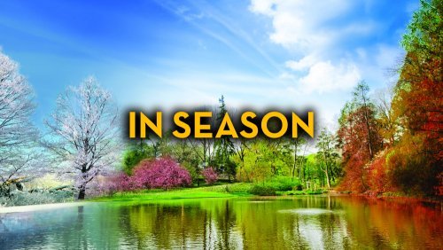 In Season - Fruit-Powered