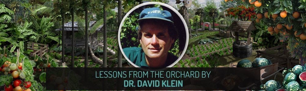 Insight from Natural Health Leaders - Lessons from the Orchard by Dr. David Klein - Fruit-Powered