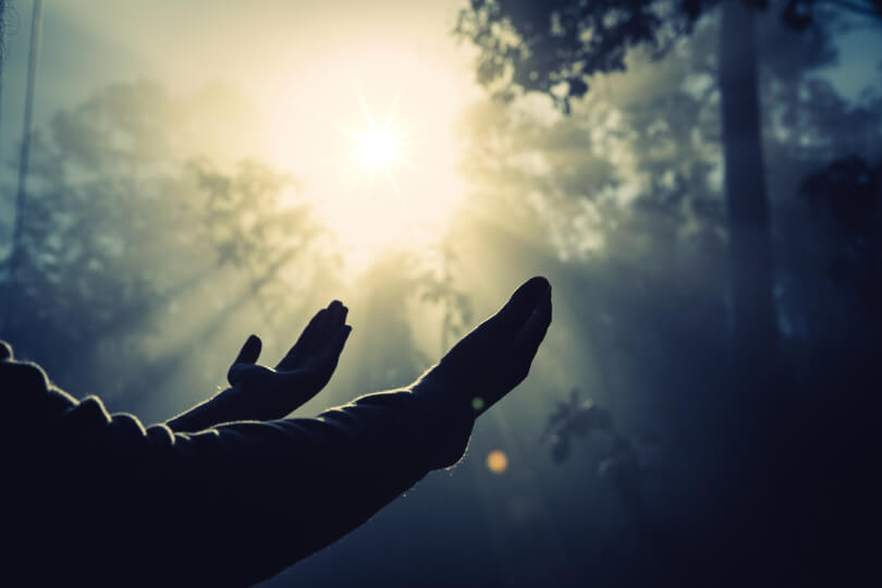 Hands beholding nature - Fruit-Powered
