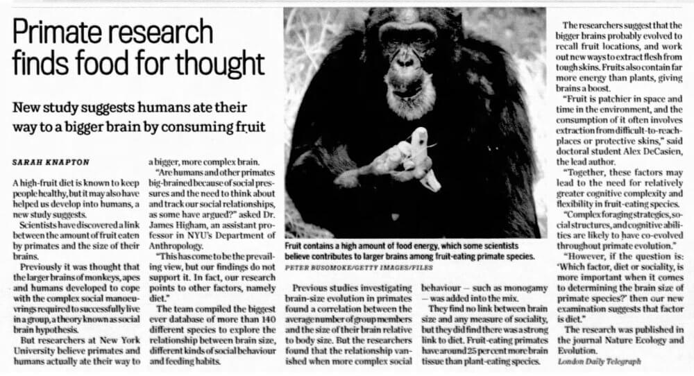 Primate research finds food for thought - newspaper article - Fruit-Powered
