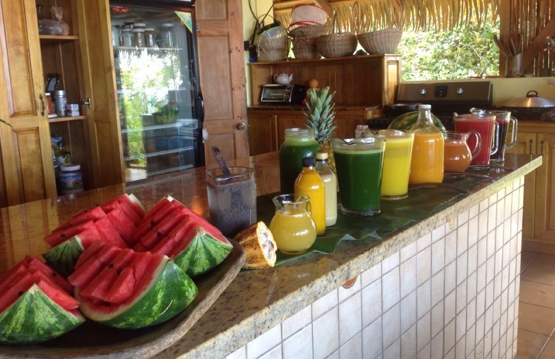 How to host a wellness retreat - juice bar - Fruit-Powered
