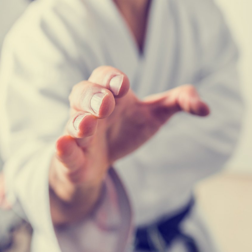 Fruitarianism - spiritual connection - intuitive clarity - hand striking - martial arts - Fruit-Powered