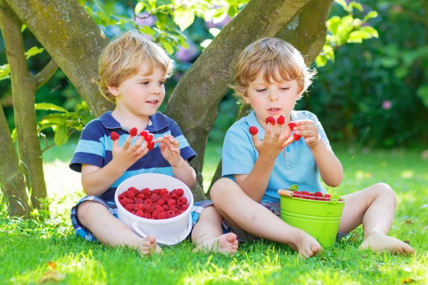 Make every day Earth Day to save the planet - boys eating raspberries - Fruit-Powered