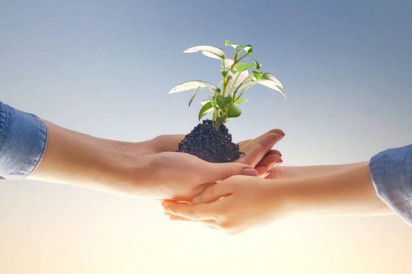 Make every day Earth Day to save the planet - hands exchanging plant - Fruit-Powered