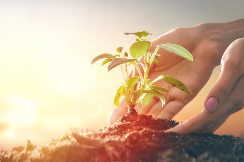 Modern-day raw food movement history - hand planting - Fruit-Powered